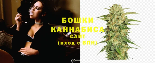 индика Заволжск