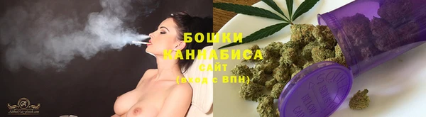 сатива Яровое