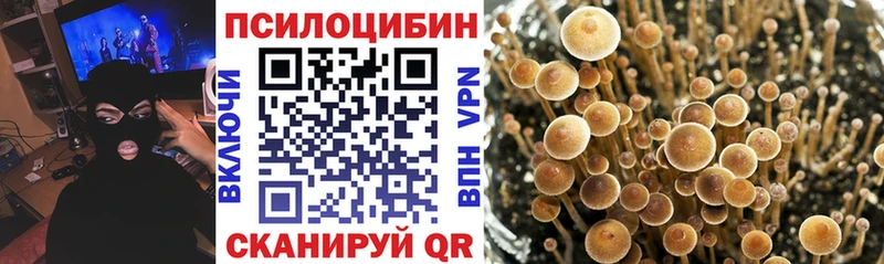 omg онион  Аксай  Псилоцибиновые грибы ЛСД 