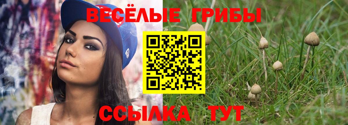 Псилоцибиновые грибы прущие грибы  Вход с VPN  Галлюциногенные грибы ЛСД  Аксай 