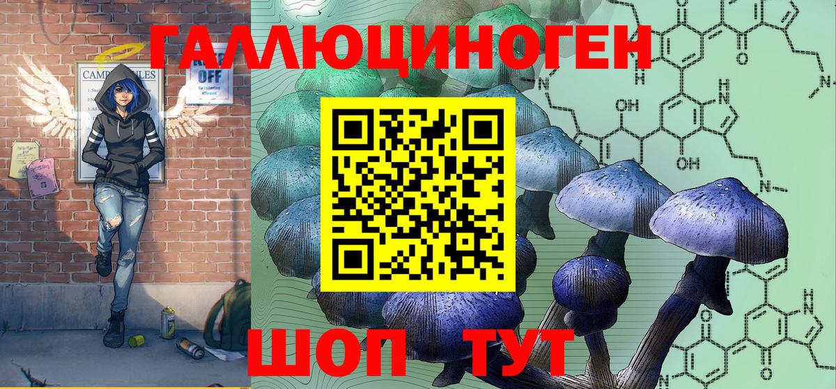 что такое   Аксай  Псилоцибиновые грибы Psilocybine cubensis 